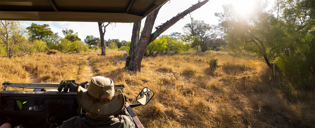 Game Drives At Tabi Tanzania