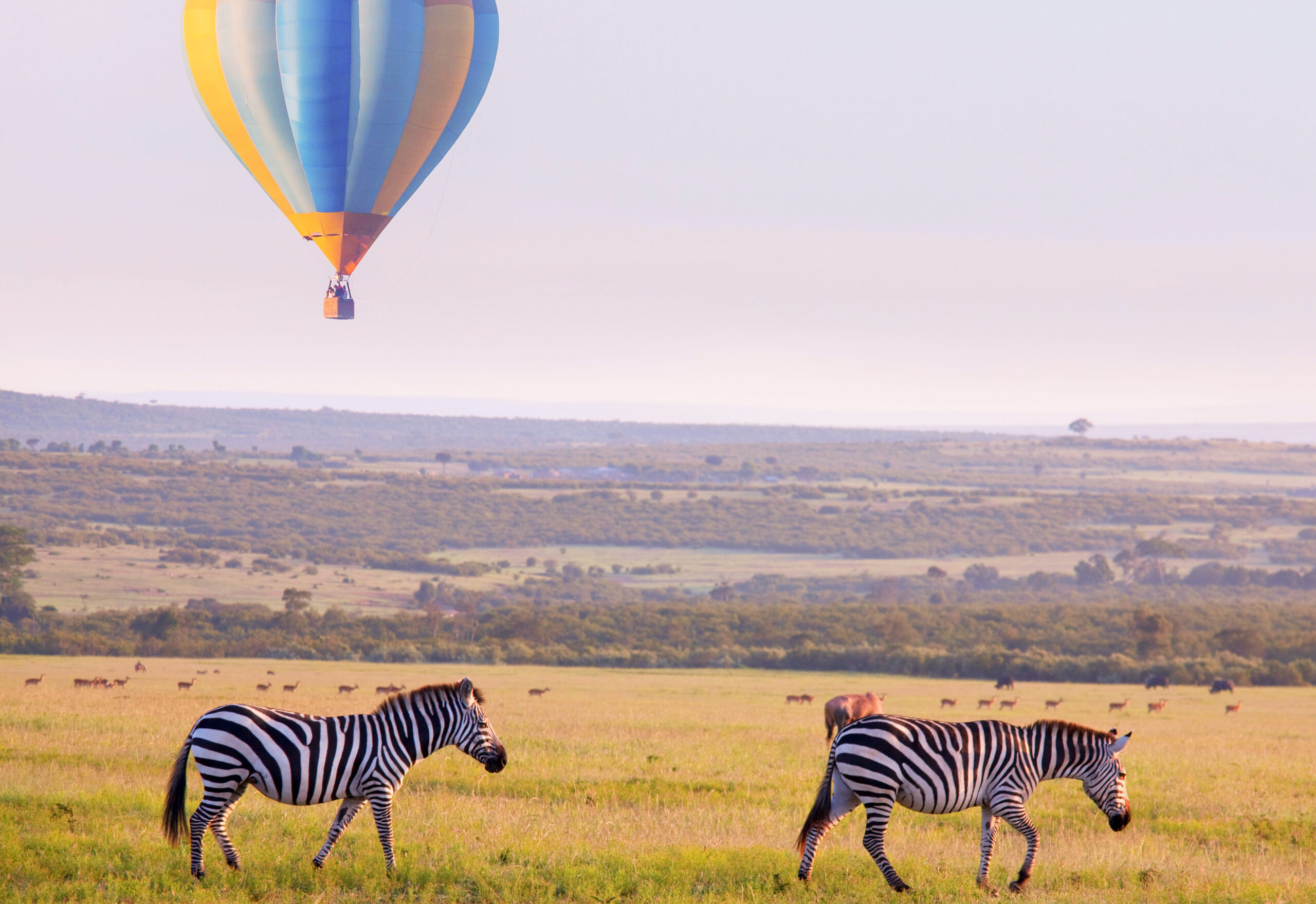 Balloon Safari